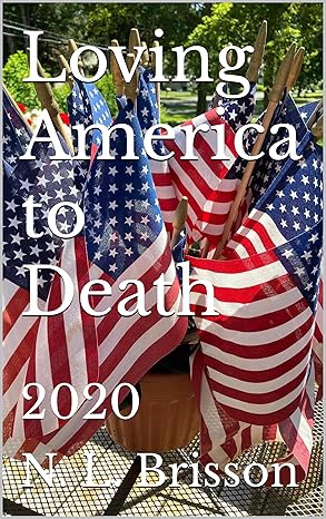 Loving America to Death: Essays on American Politics, Cultural Decline, and the Crisis of Democracy